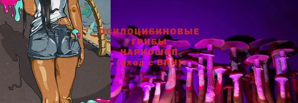 первитин Алексеевка