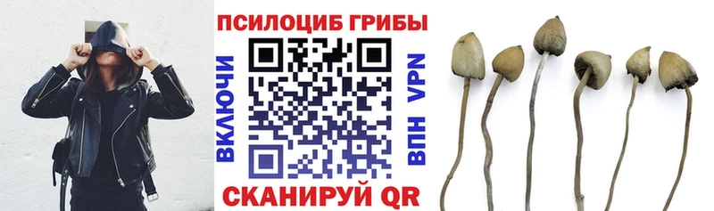 Псилоцибиновые грибы прущие грибы  ссылка на мегу рабочий сайт  Аргун  даркнет сайт 